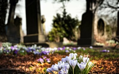 Cimetière de la Rouvière