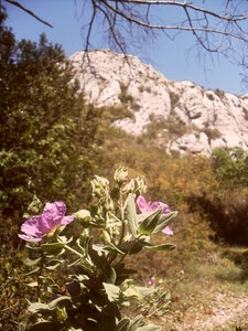 La colline de la Cride