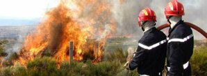 Incendies de forêt